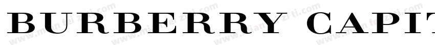 Burberry Capitals Regula字体转换